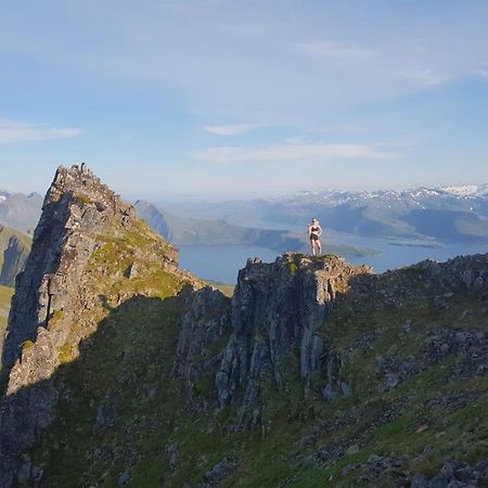 Апартаменты Veien Til Senja Финнснес Экстерьер фото