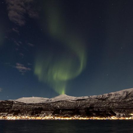 Апартаменты Veien Til Senja Финнснес Экстерьер фото