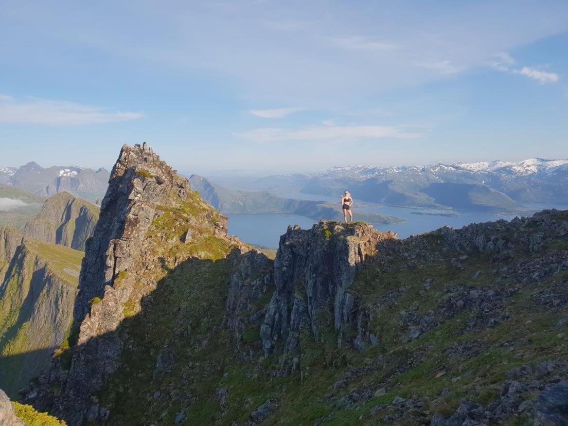 Апартаменты Veien Til Senja Финнснес Экстерьер фото
