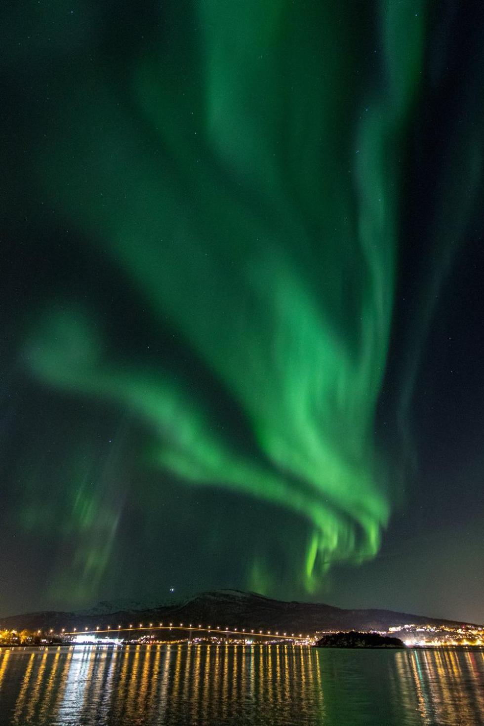Апартаменты Veien Til Senja Финнснес Экстерьер фото